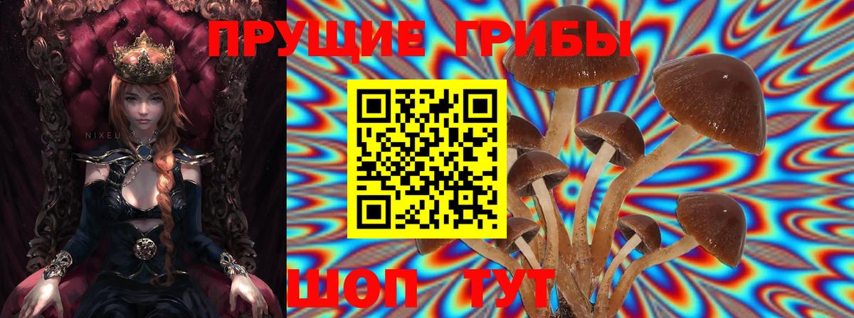 Псилоцибиновые грибы Magic Shrooms  где купить наркоту  Тобольск  Вход с VPN 