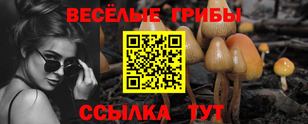 Псилоцибиновые грибы ЛСД Тобольск